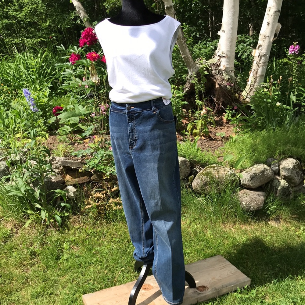 Celebrity Pink Skinny High Rise Jeans NWT